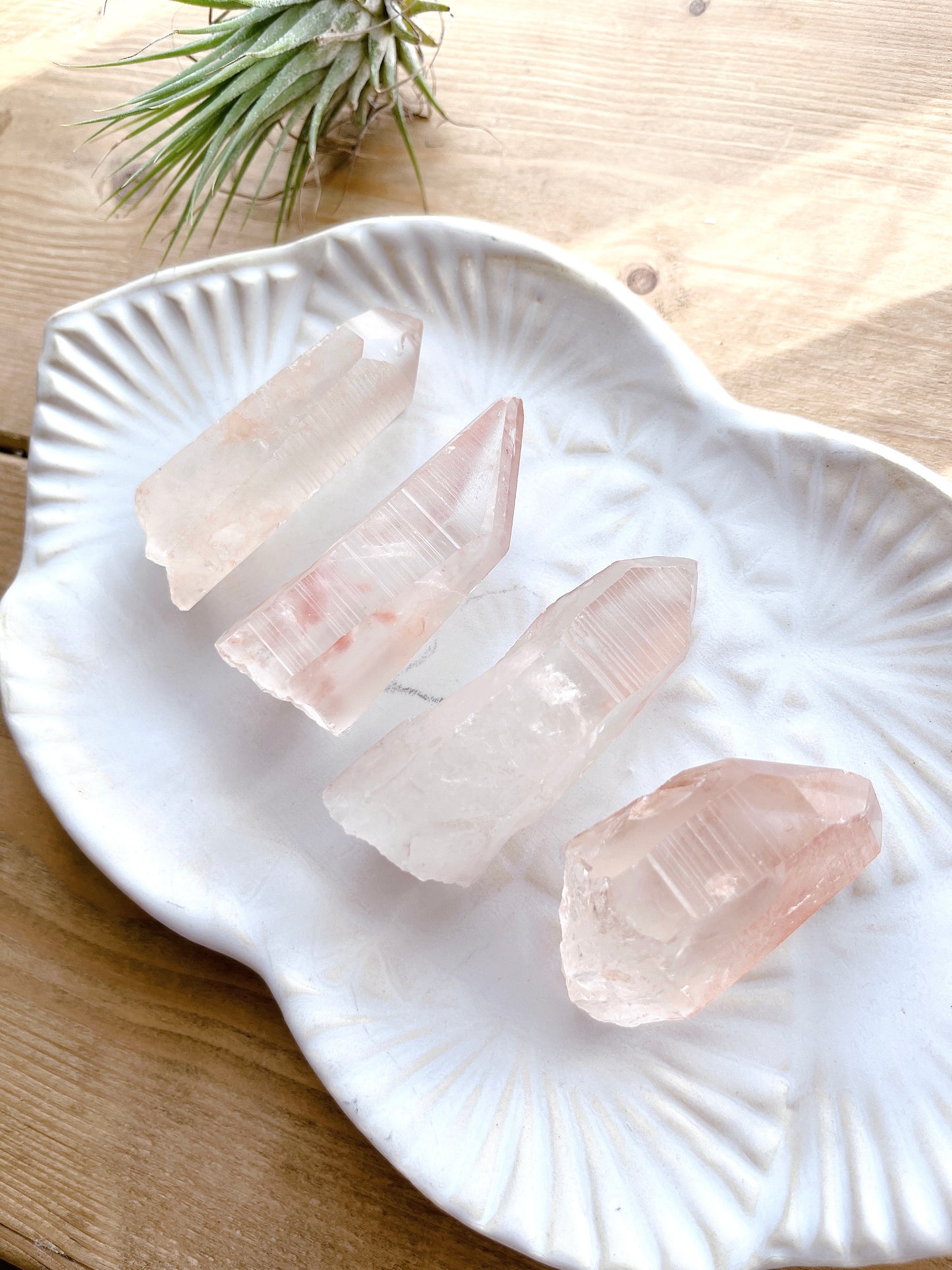 Pink lemurian seed crystal (11000)【LE004A~D】