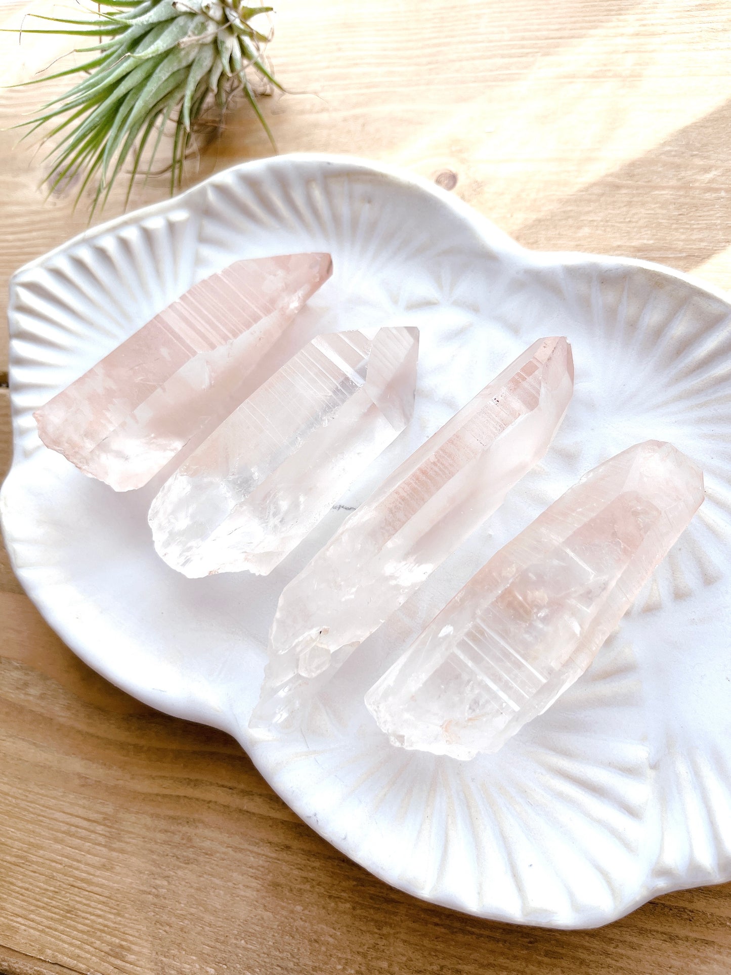 Pink lemurian seed crystal (13000)【LE005A~D】