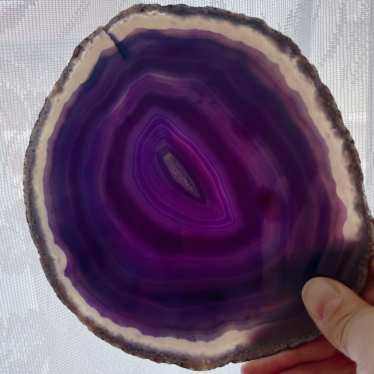 Agate L plate【PL010C】