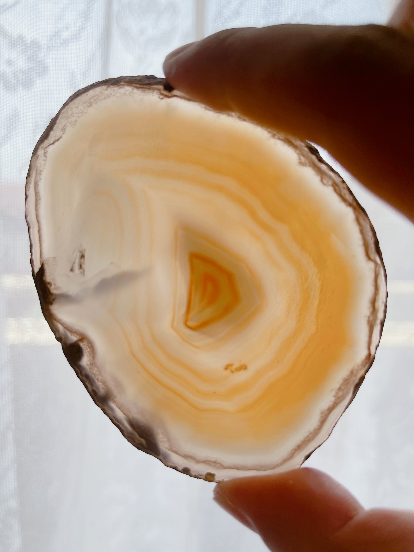 ☆Wednesday Special☆ Natural Agate plate 2【PL013A~I】