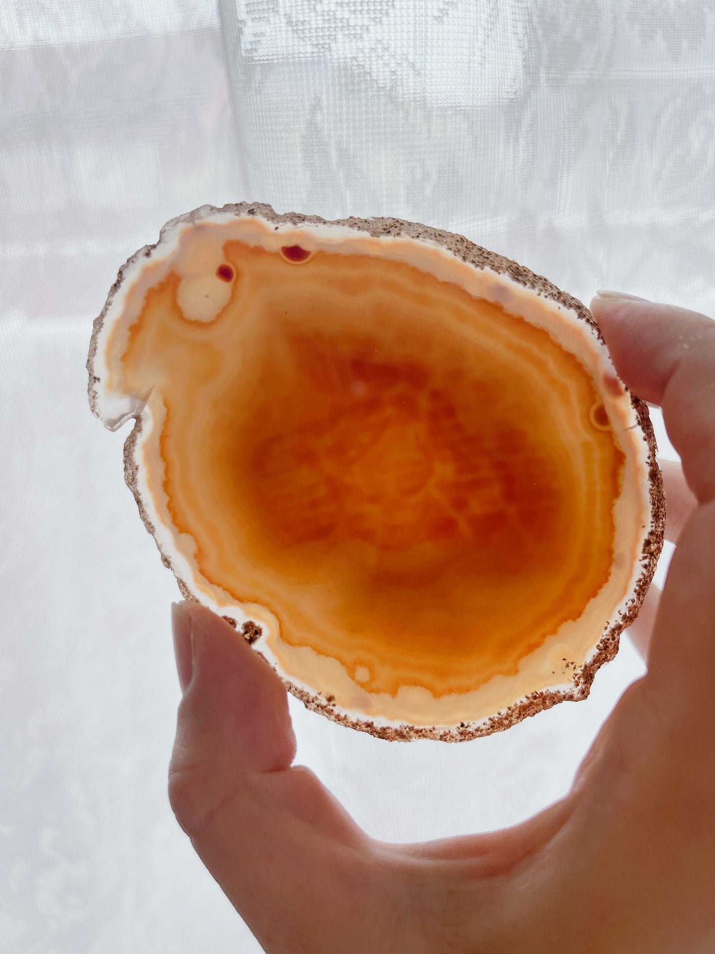 ☆Wednesday Special☆ Natural Agate plate【PL011A~I】